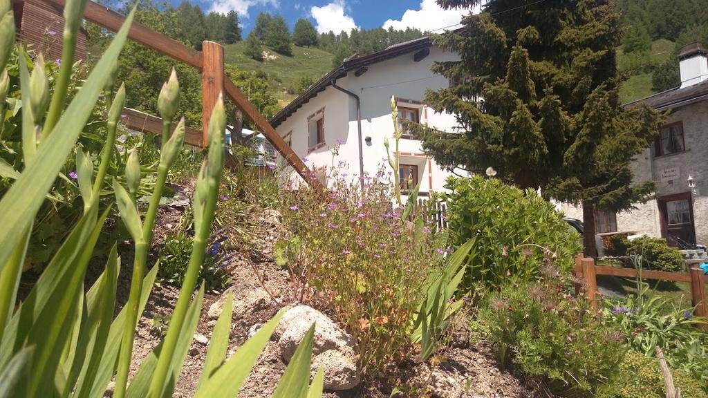 Berghaus Am Sonnenhang Valpaschun Valchava Экстерьер фото